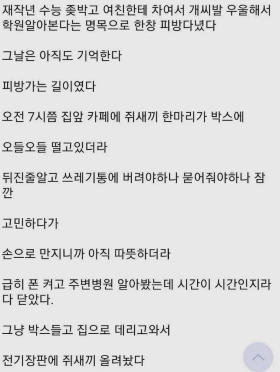 상남자 문학.txt