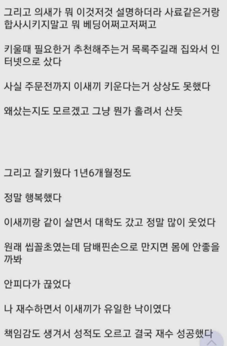 상남자 문학.txt