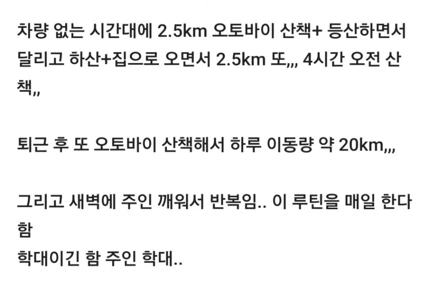 학대라고 논란 있었던 썰매견 강아지.