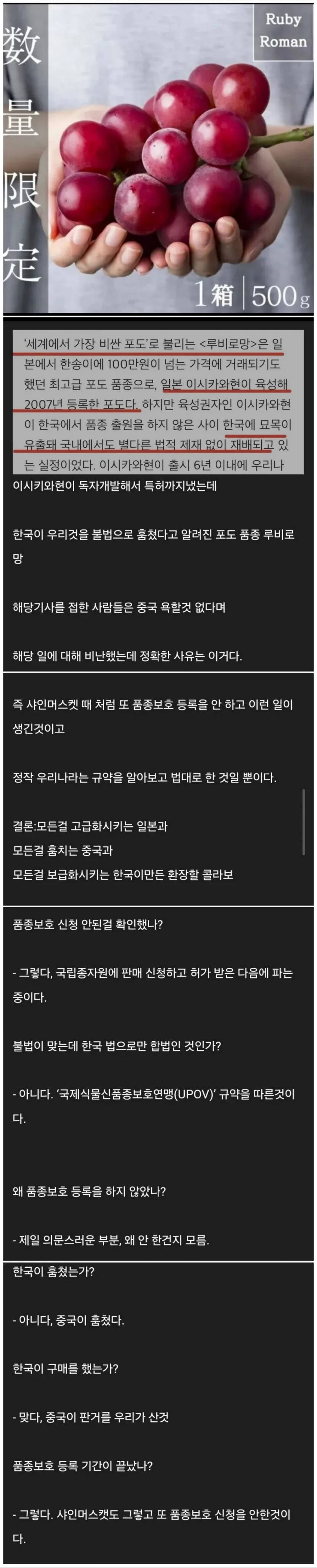 한중일이 콜라보해서 만들어낸 제2의 샤인머스캣 사태