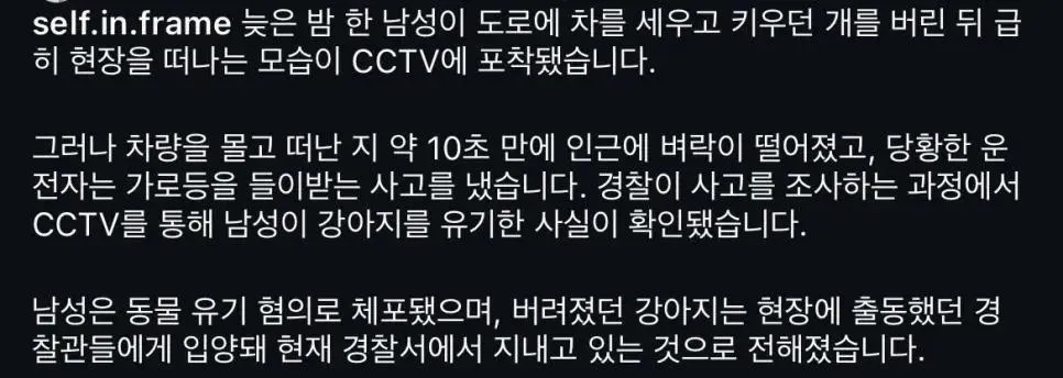 개 버리고 가자 번개 맞음