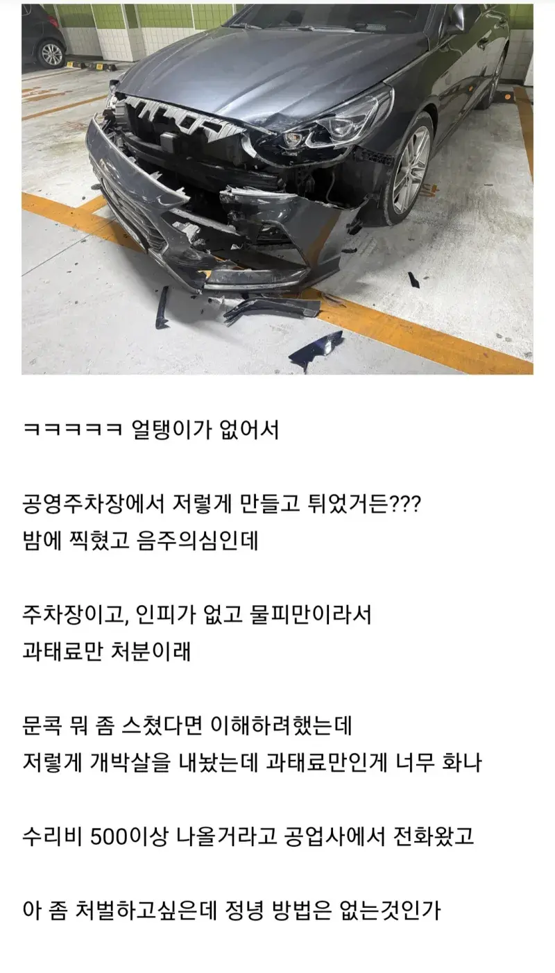 현재 난리난 물피도주.jpg