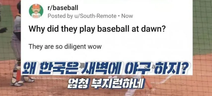 한국인들의 부지런함에 깜짝 놀란 미국인