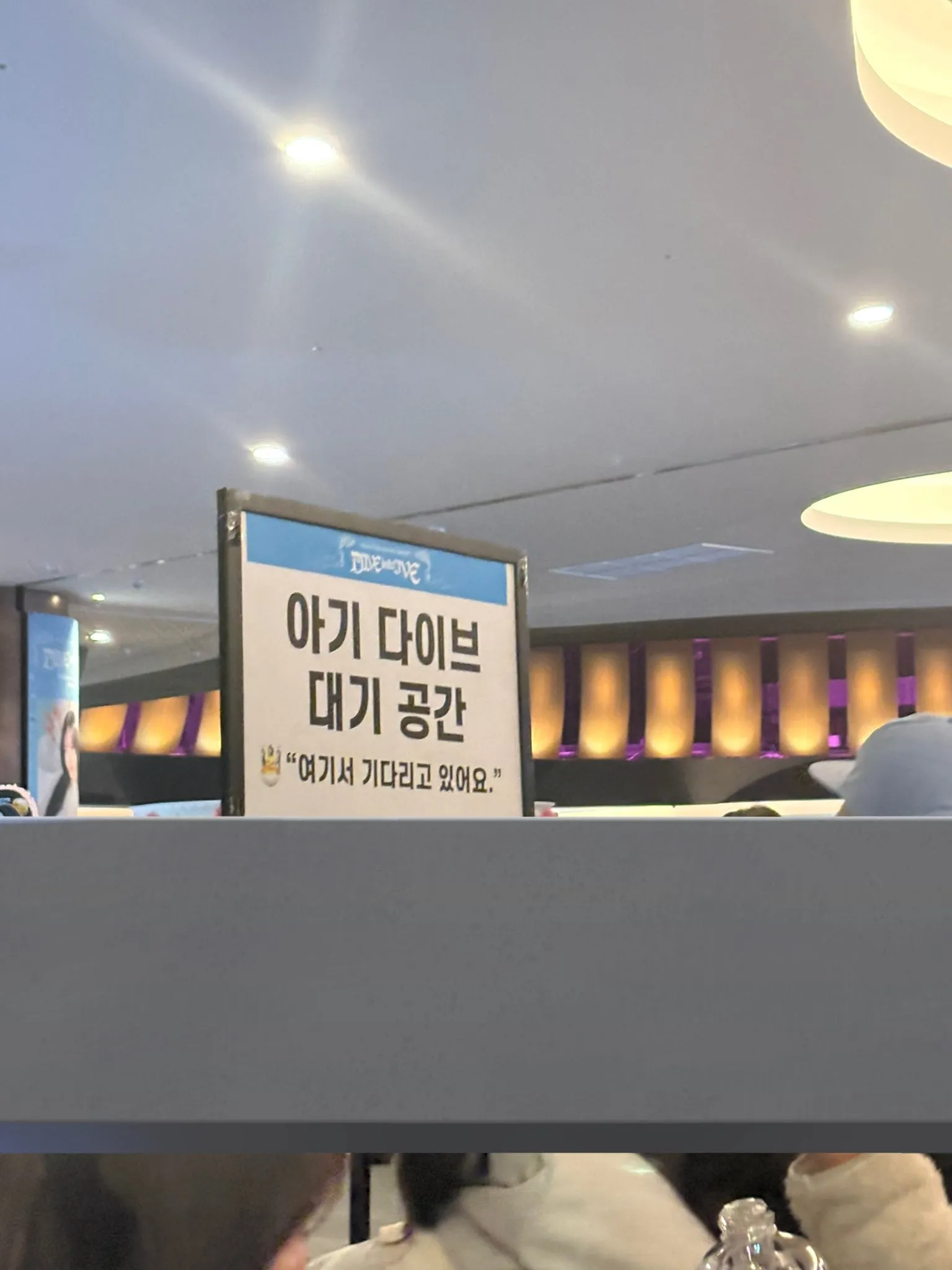 아이브 콘서트에서만 볼수있다는것