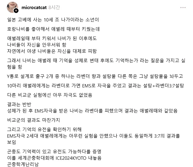 일본 초등학생 곤충학자