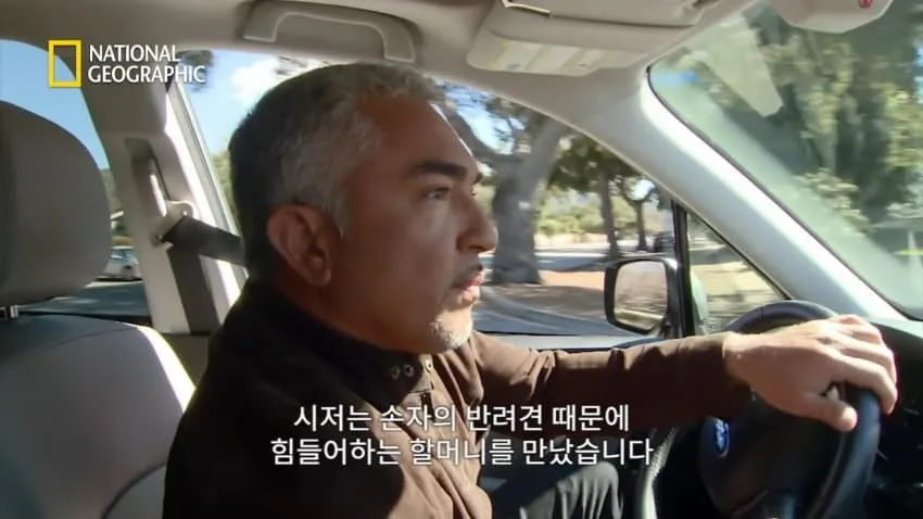 치와와의 행동을 교정한 방법.jpg