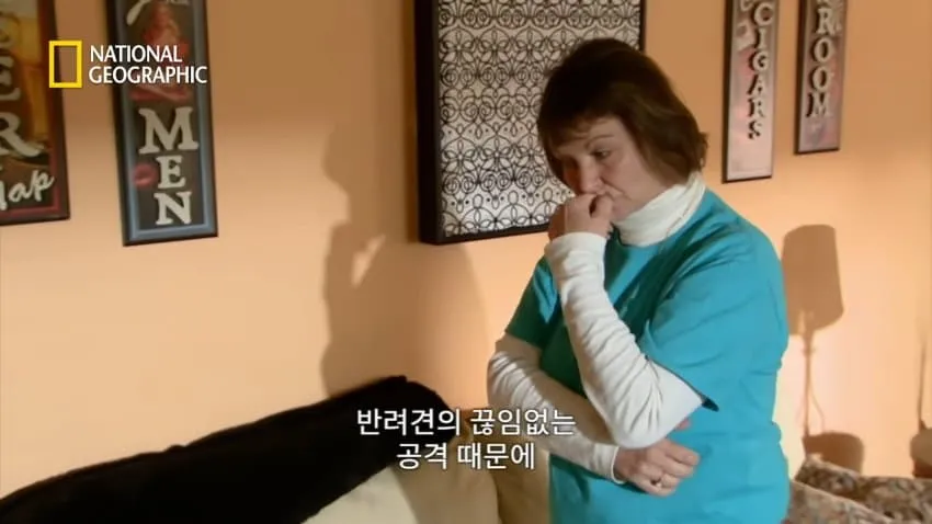 치와와의 행동을 교정한 방법.jpg