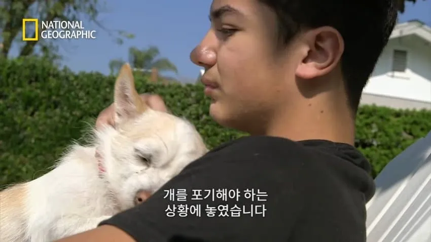 치와와의 행동을 교정한 방법.jpg