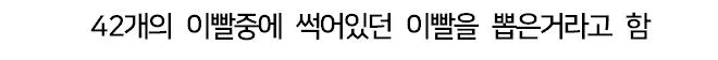 치와와의 행동을 교정한 방법.jpg