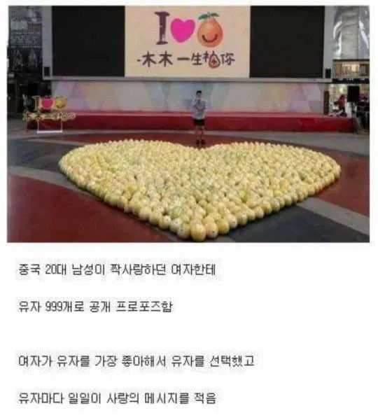 중국에서 벌어진 유자쟁탈전