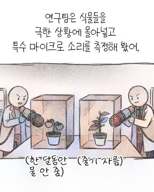 식물이 조용해서 좋다? 목마르면 지르는 비명