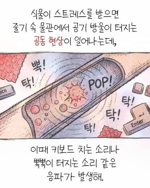 식물이 조용해서 좋다? 목마르면 지르는 비명