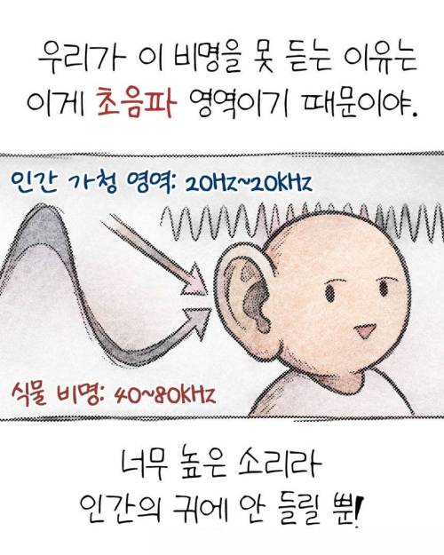 식물이 조용해서 좋다? 목마르면 지르는 비명