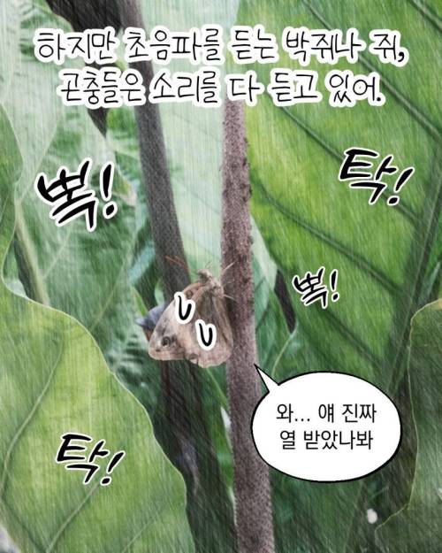 식물이 조용해서 좋다? 목마르면 지르는 비명