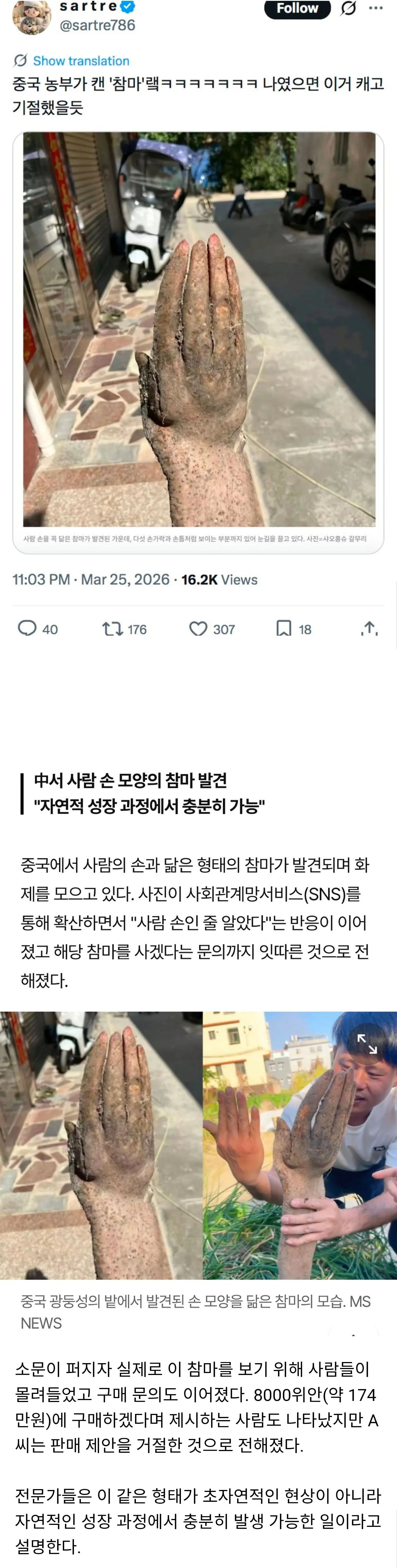 중국 농부가 캔 참마 ㄷㄷㄷ