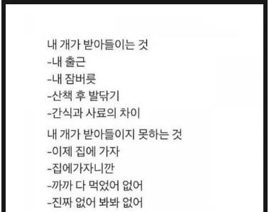 강아지 키우는 사람 공감짤