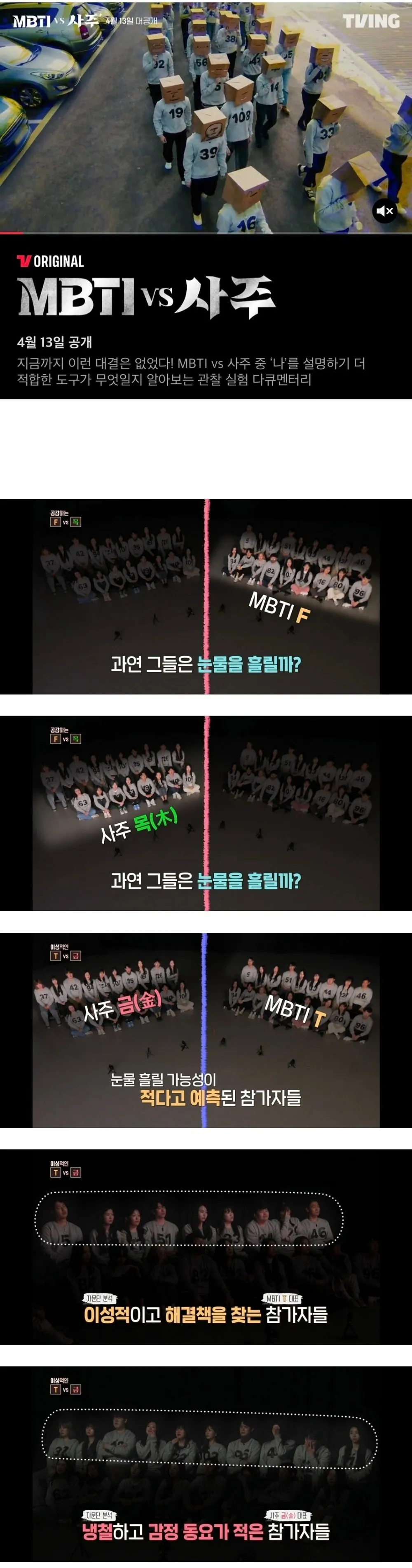 MBTI vs 사주 정확성 실험결과