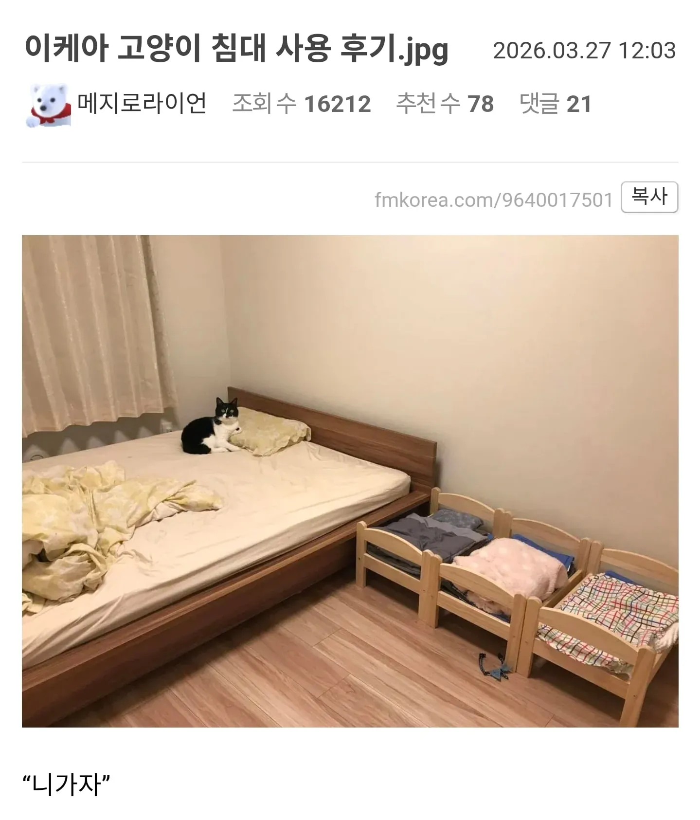 이케아 고양이 침대 사용 후기.jpg