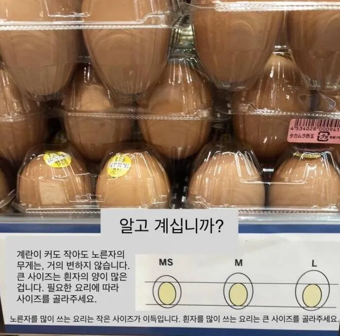 계란 고르는 꿀팁