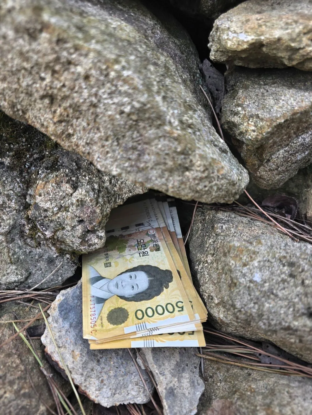뒷산 갔다가 돈 50만원 주웠다는 디시인.jpg