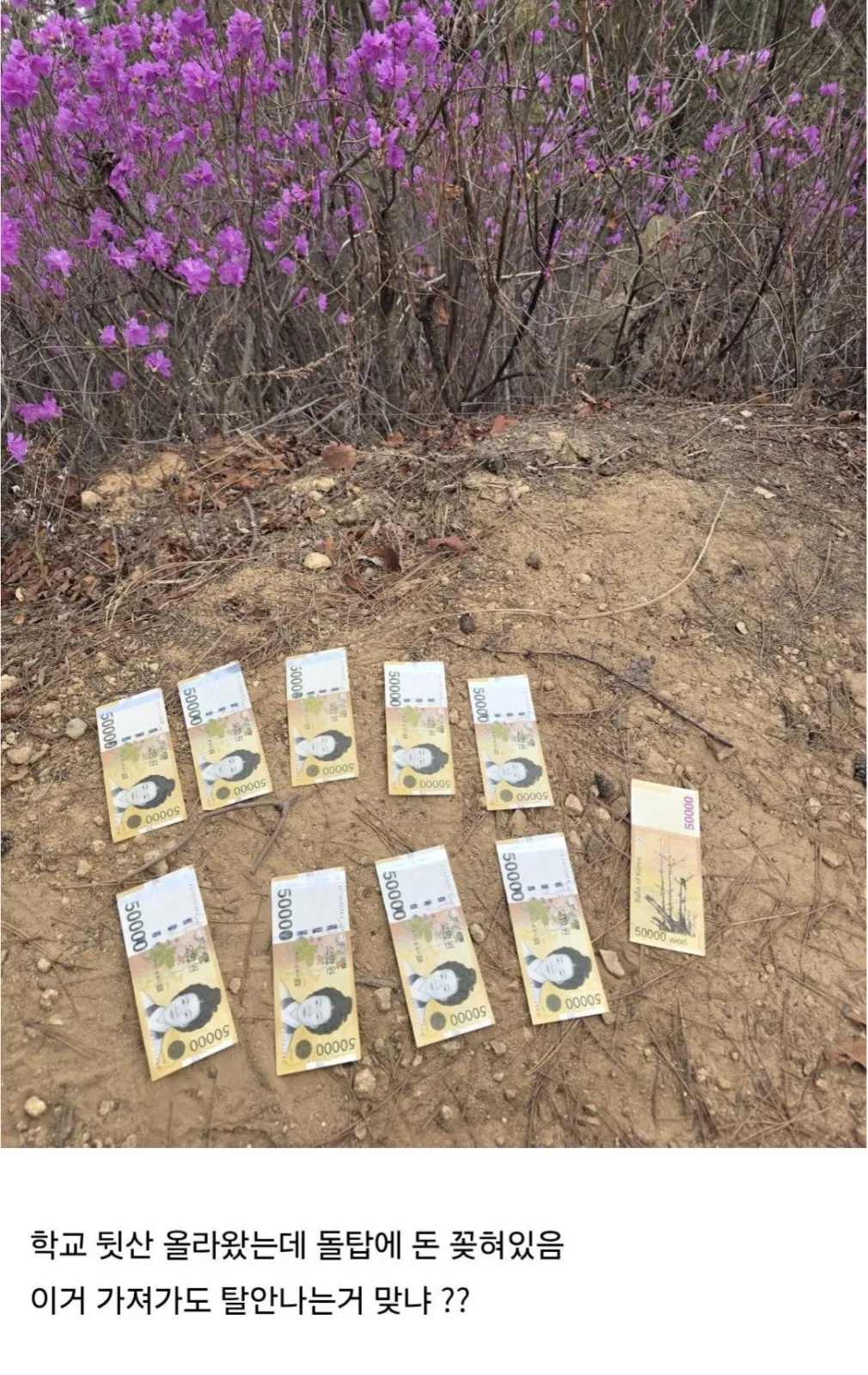 뒷산 갔다가 돈 50만원 주웠다는 디시인.jpg