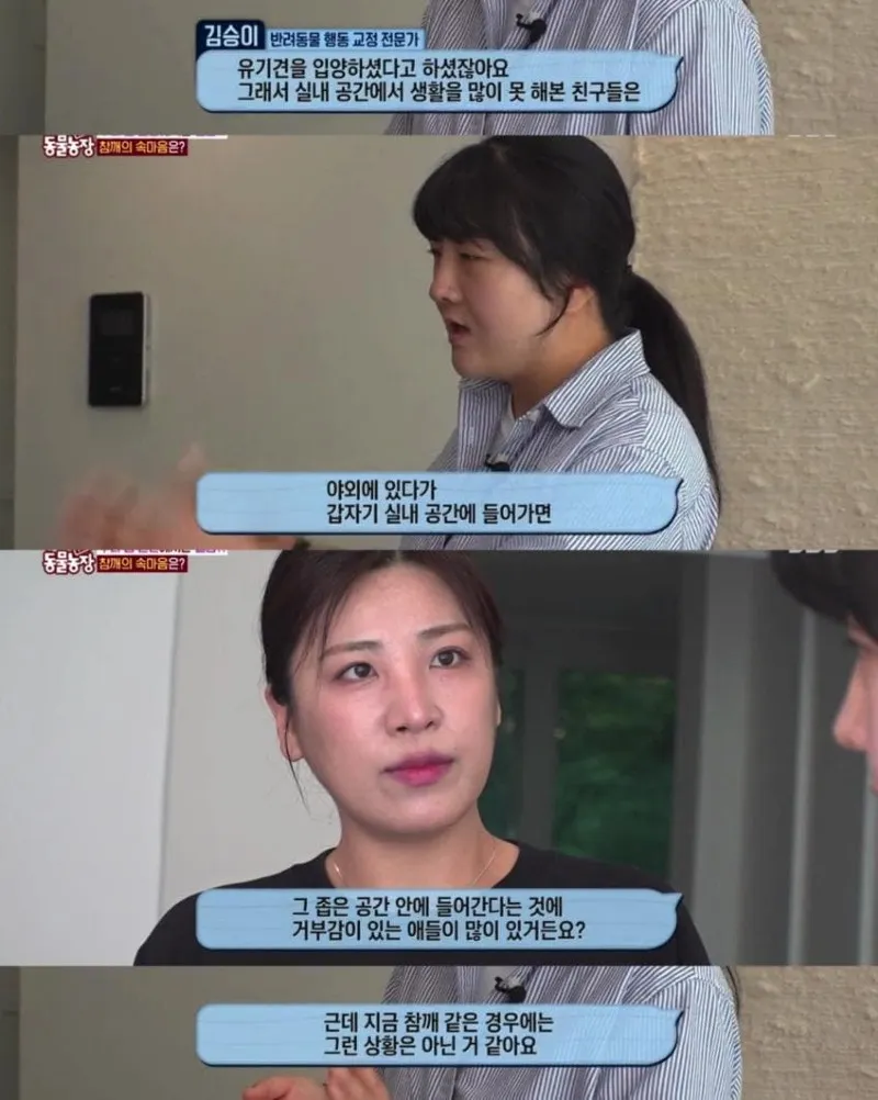 댕댕이의 조용한 반항