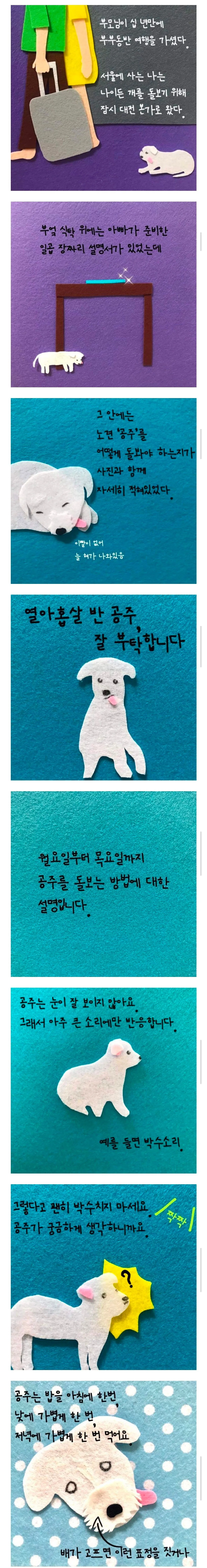 부모님이 십 년만에 부부동반 여행을 가셨다 서울에 사는 나는 나이든 개를 돌보기 위해 잠시 대전 본가로 왔다