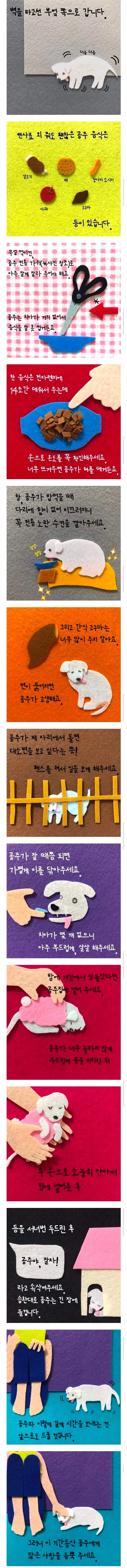 부모님이 십 년만에 부부동반 여행을 가셨다 서울에 사는 나는 나이든 개를 돌보기 위해 잠시 대전 본가로 왔다