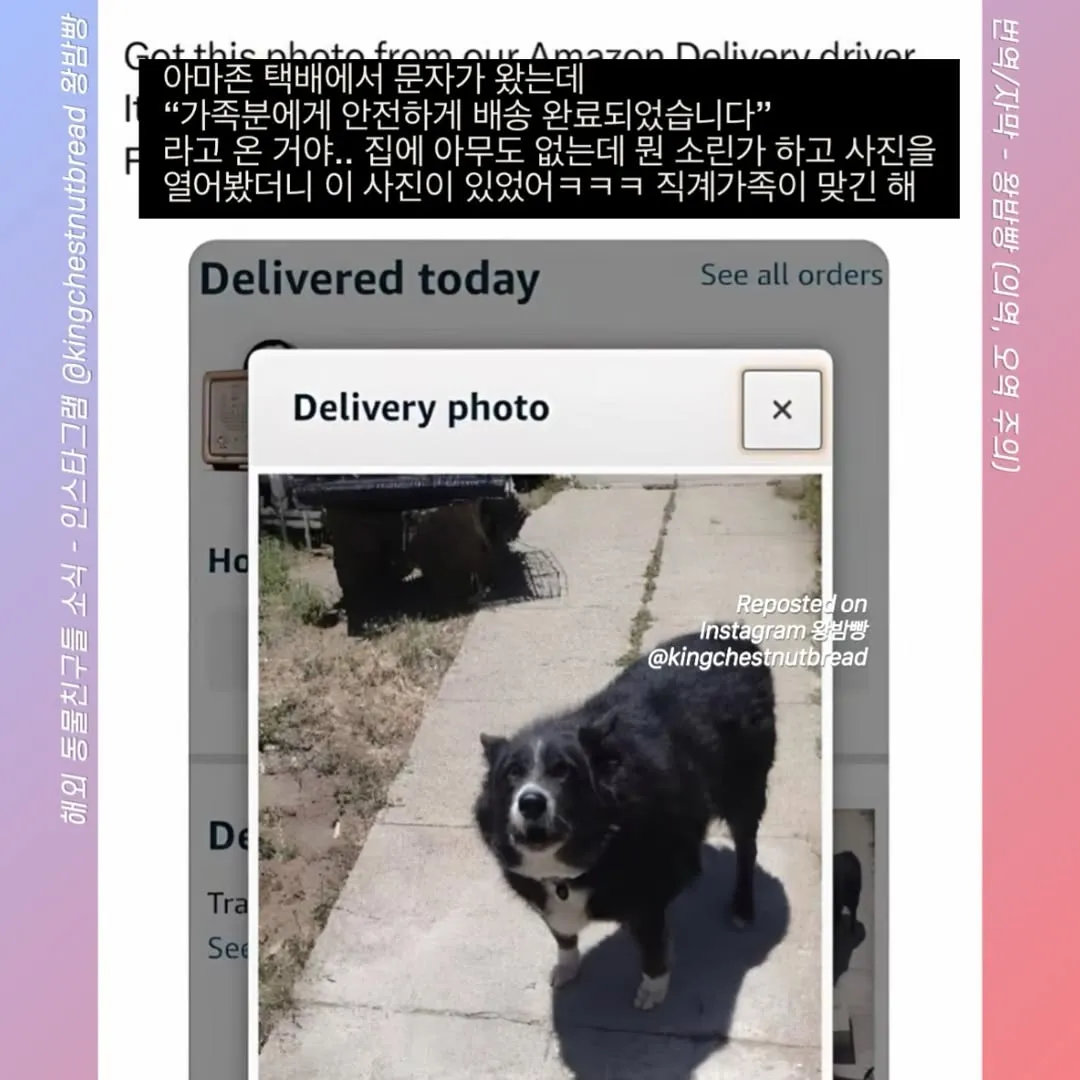 집에 아무도 없는데 가족이 수령했다고 배송완료 문자가 온거야...