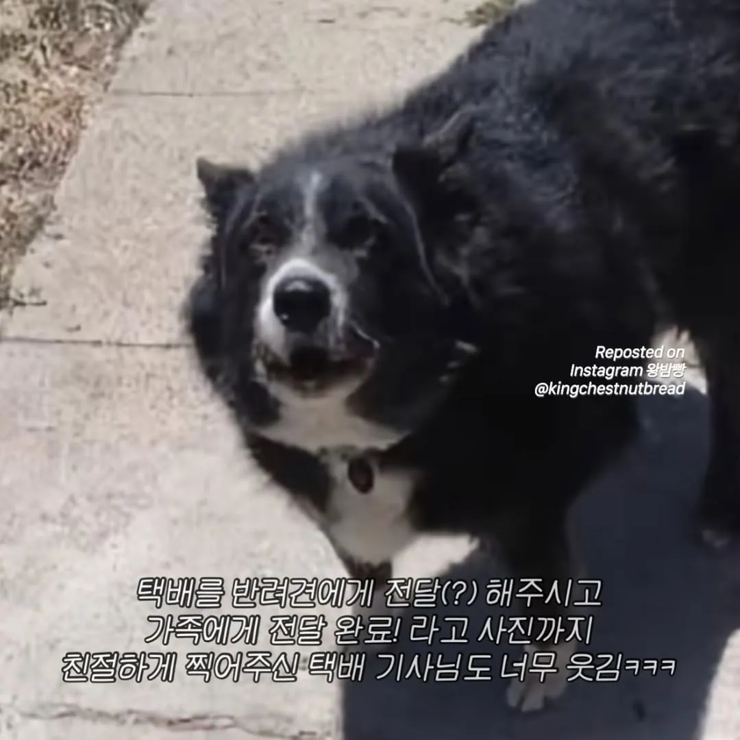집에 아무도 없는데 가족이 수령했다고 배송완료 문자가 온거야...