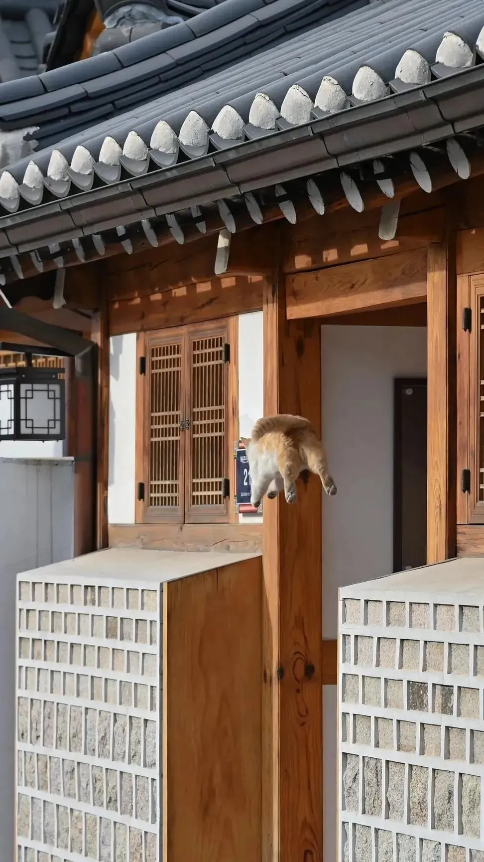 대만 관광객이 북촌에서 찍은 찰나의 순간.gif