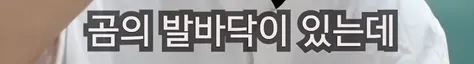요즘 요리 유튜버 평균