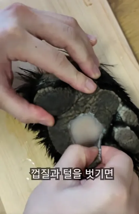 요즘 요리 유튜버 평균