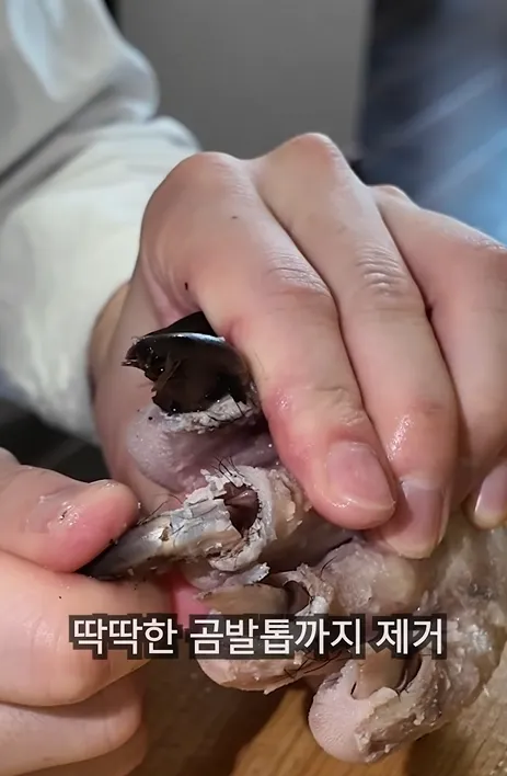 요즘 요리 유튜버 평균