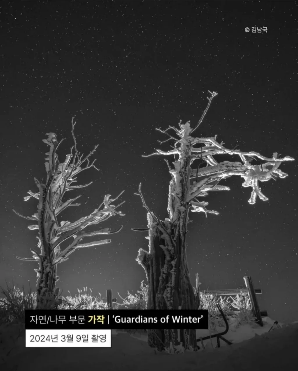 사진찍기가 취미인 안산시청 공무원