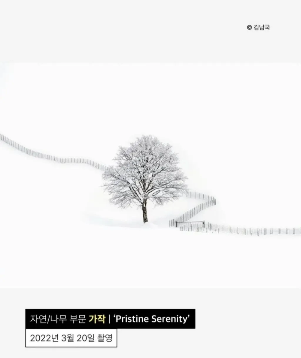 사진찍기가 취미인 안산시청 공무원
