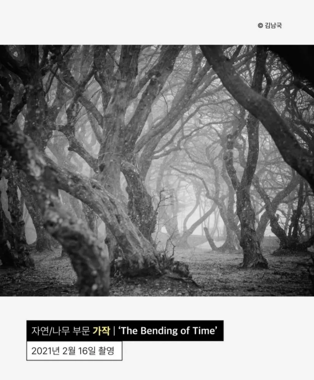 사진찍기가 취미인 안산시청 공무원