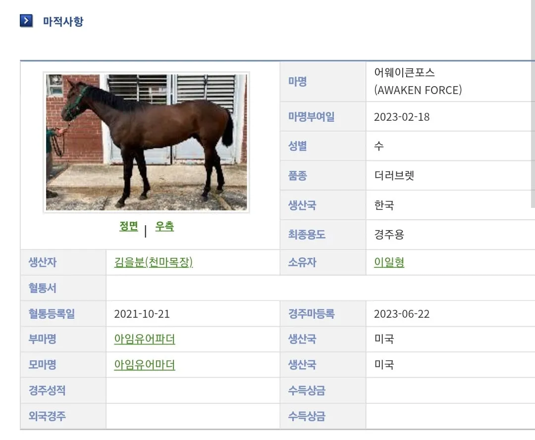 니애미와 니애비사이에서 깨어난 포스