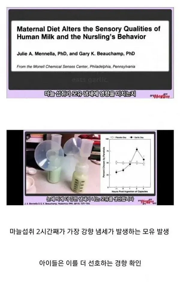 마늘이 모유에 미치는 영향.jpg