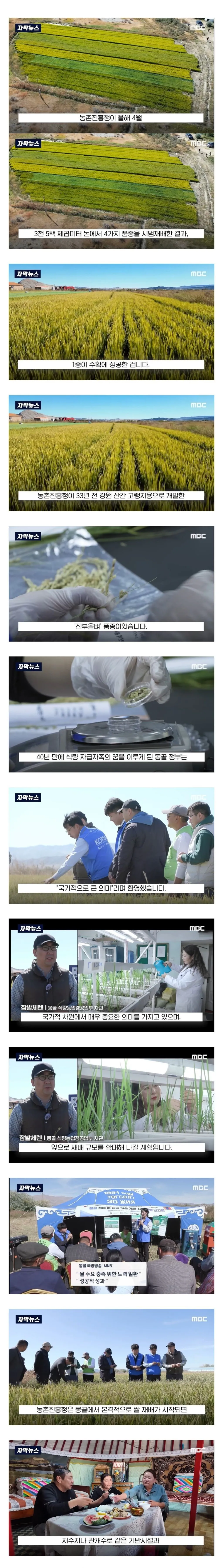 몽골이 한국을 좋아하는 이유
