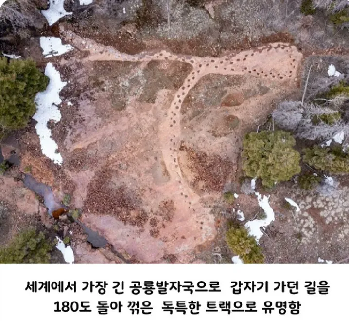 고민이 많아 보였던 공룡의 발자국.jpg