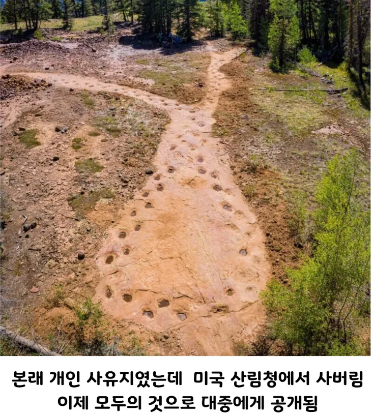 고민이 많아 보였던 공룡의 발자국.jpg