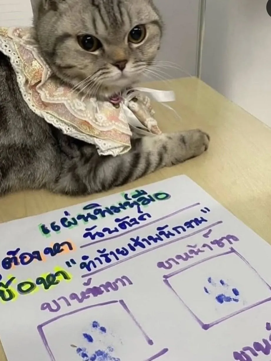 속보 ) 태국에서 경찰관을 물어뜯는 사건발생