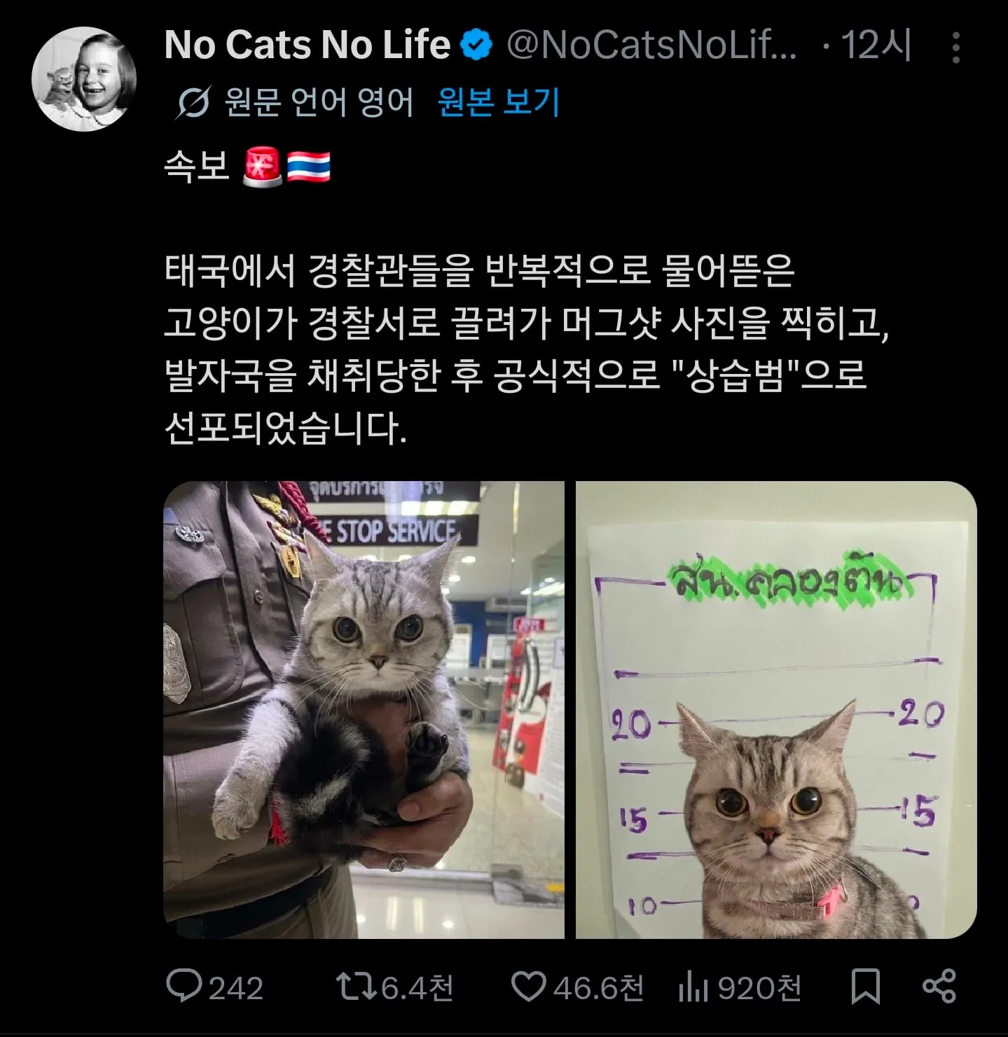 속보 ) 태국에서 경찰관을 물어뜯는 사건발생