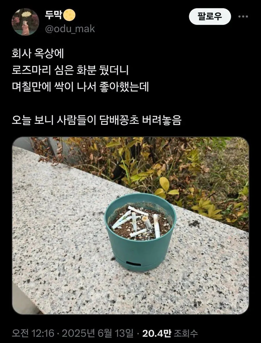 회사 옥상에 화분을 두었더니....jpg
