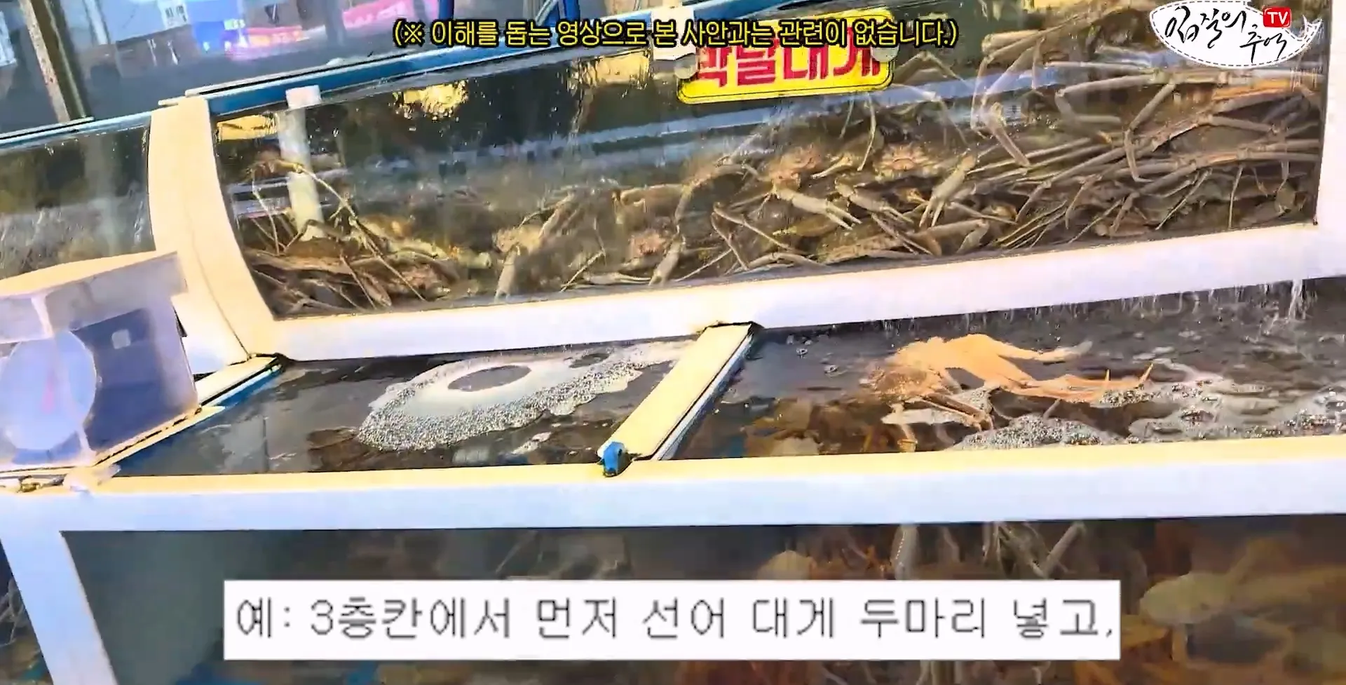 입질의 추억) 수산시장 내부자가 폭로하는 대게,킹크랩으로 사기 치는 방법.jpg