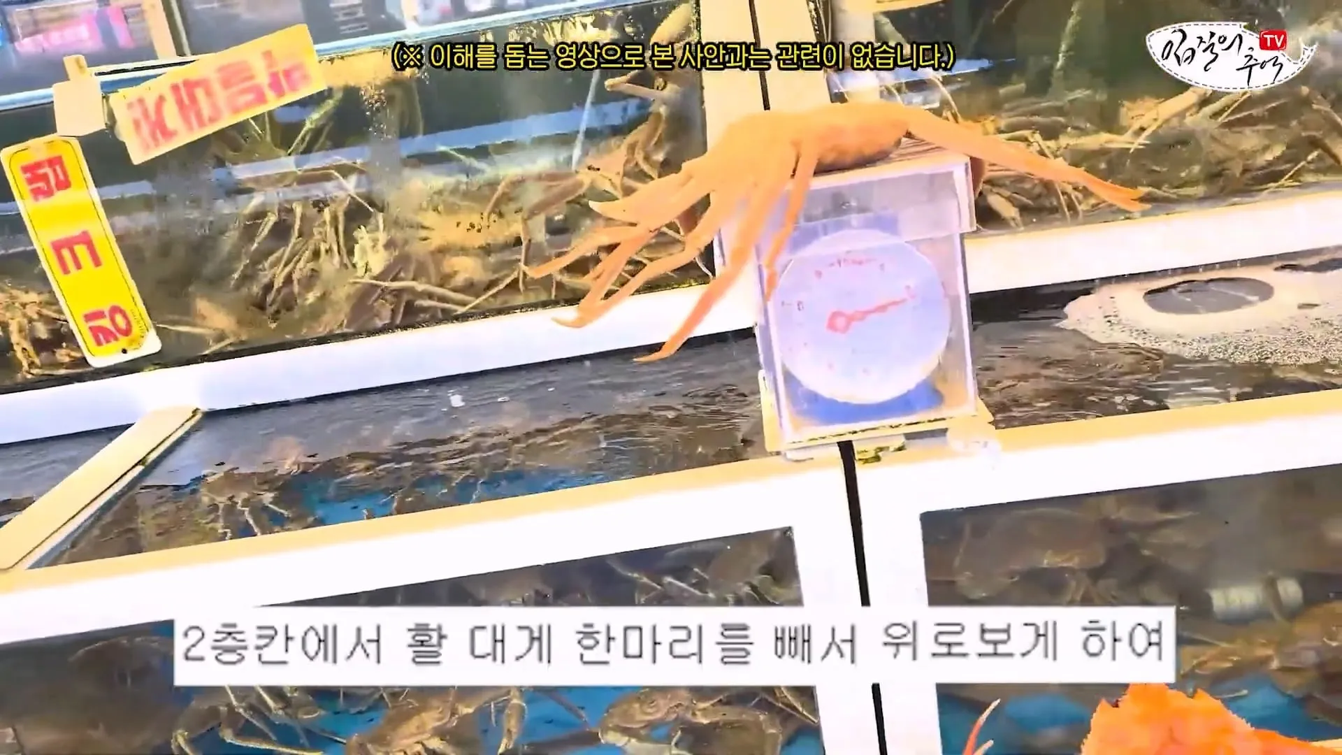입질의 추억) 수산시장 내부자가 폭로하는 대게,킹크랩으로 사기 치는 방법.jpg