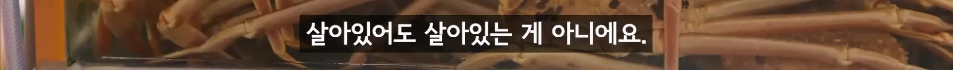 입질의 추억) 수산시장 내부자가 폭로하는 대게,킹크랩으로 사기 치는 방법.jpg