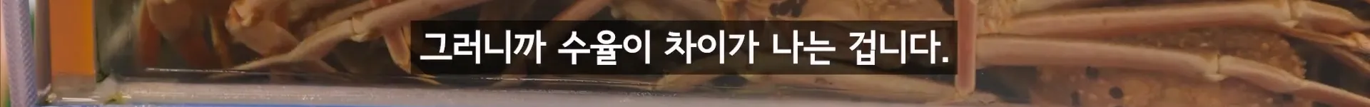 입질의 추억) 수산시장 내부자가 폭로하는 대게,킹크랩으로 사기 치는 방법.jpg