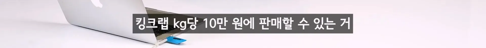 입질의 추억) 수산시장 내부자가 폭로하는 대게,킹크랩으로 사기 치는 방법.jpg